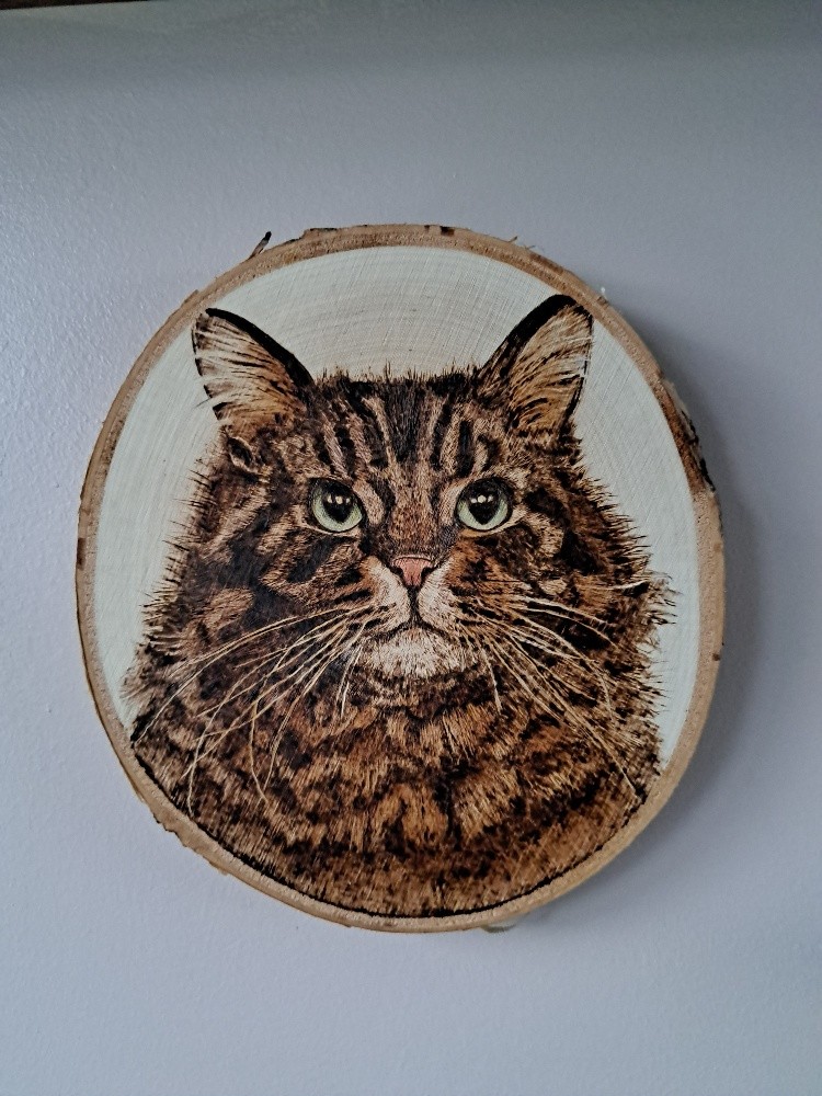 Tabby Cat portrait burned on wood slice